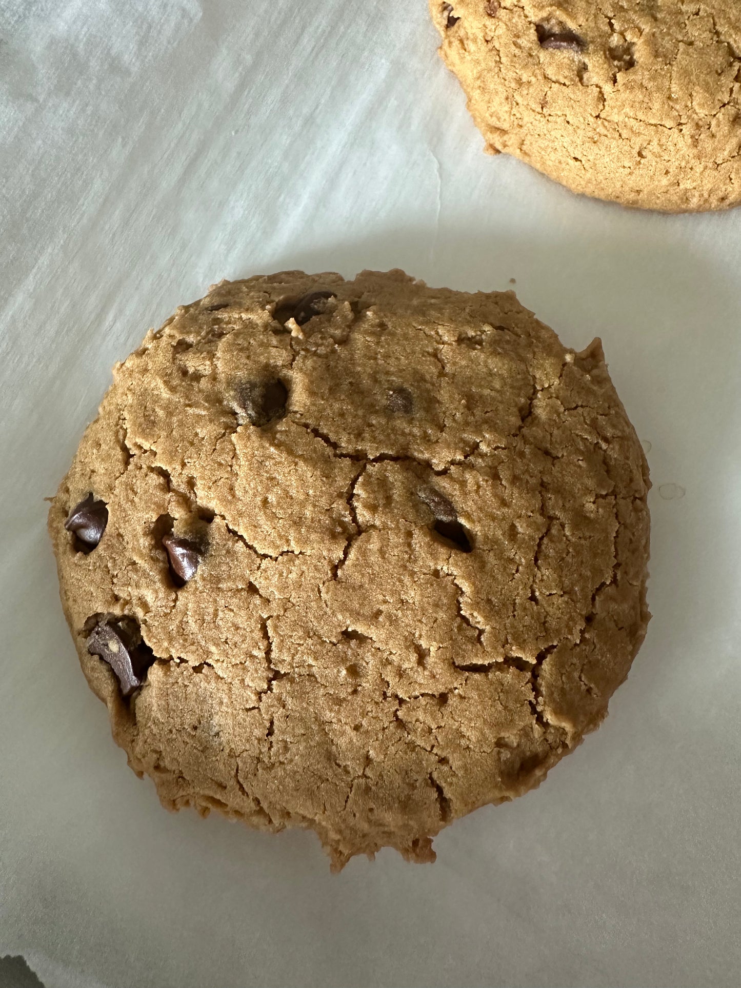 Chocolate Chip Cookie