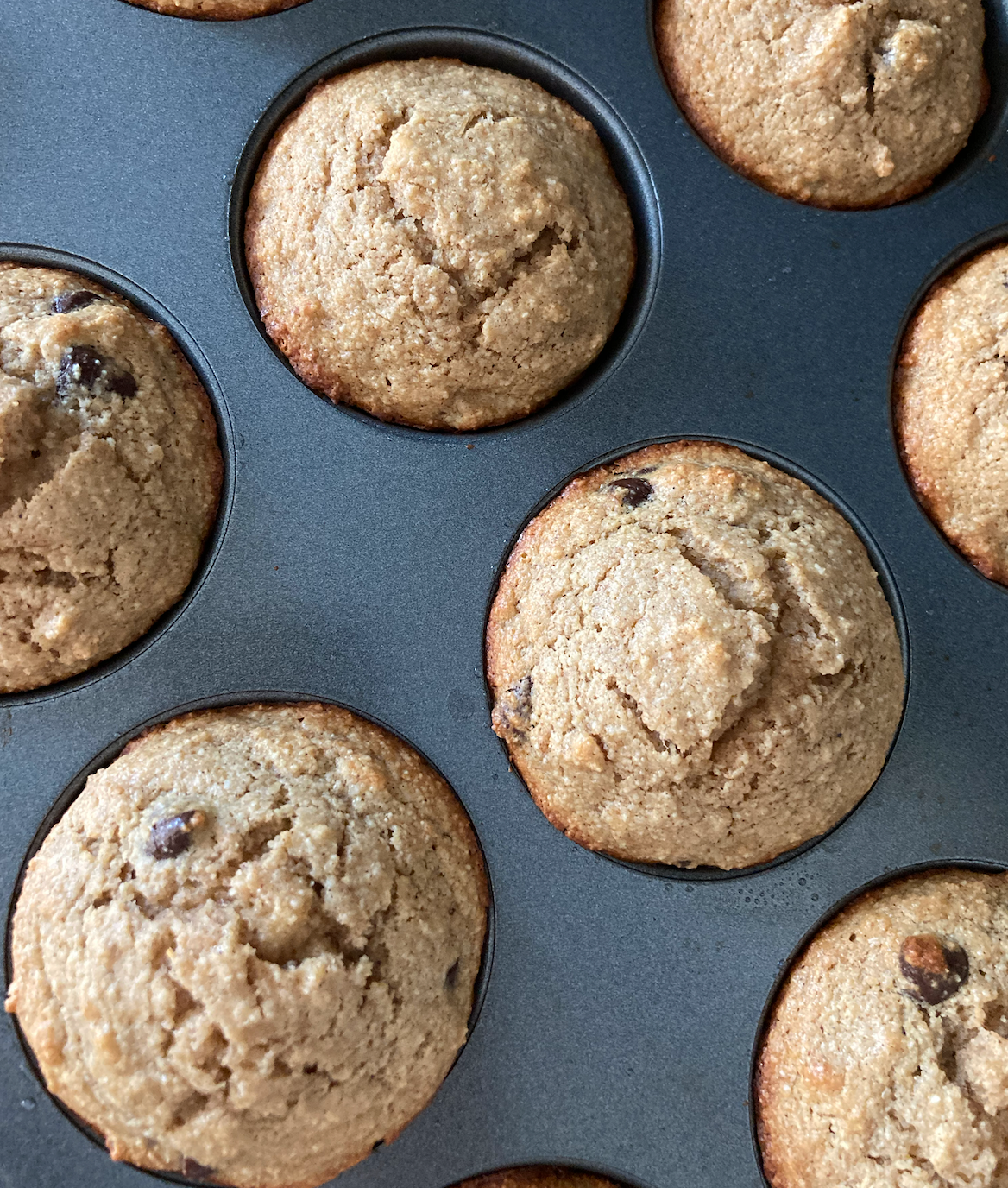 Banana Chocolate Chip Protein Muffins